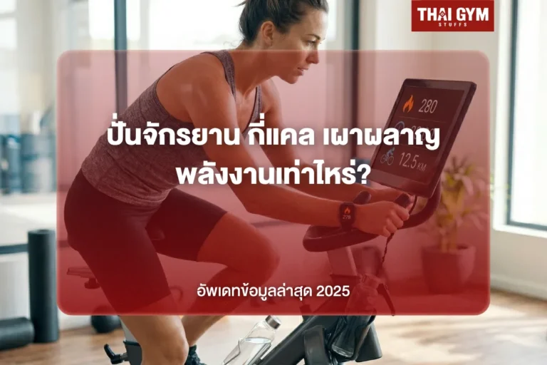 ปั่นจักรยาน กี่แคล เผาผลาญพลังงานเท่าไหร่? อัพเดทข้อมูลล่าสุด 2025