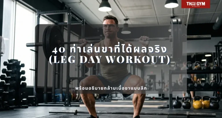 40 ท่าเล่นขาที่ได้ผลจริง (Leg Day Workout) พร้อมอธิบายกล้ามเนื้อขาแบบลึก