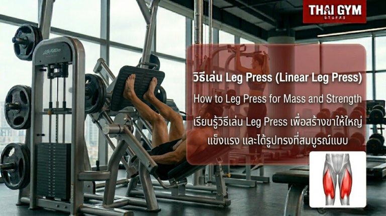 วิธีเล่น Leg Press สร้างขาให้ใหญ่ แข็งแรง และได้รูปทรงที่สมบูรณ์แบบ