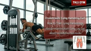 วิธีเล่น Lying Leg Curl สร้างกล้ามต้นขาด้านหลังให้หนา นูน และสมดุลกับต้นขาด้านหน้า
