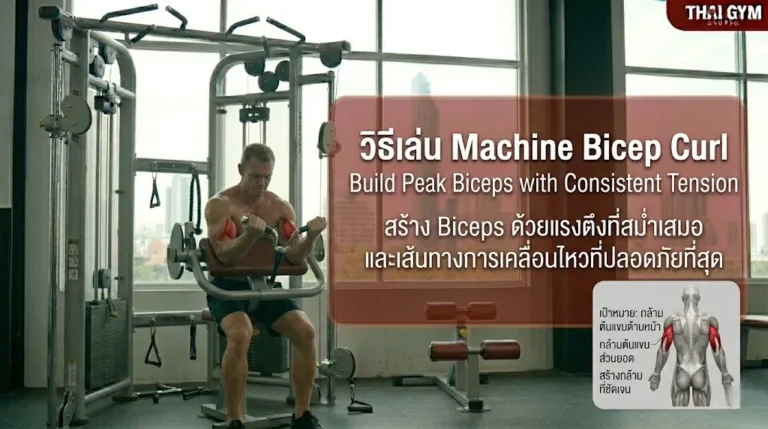 วิธีเล่น Machine Bicep Curl สร้าง Biceps ด้วยแรงตึงที่สม่ำเสมอและเส้นทางการเคลื่อนไหวที่ปลอดภัยที่สุด