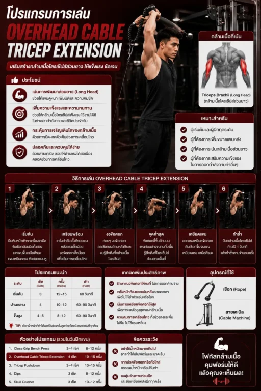 โปรแกรมการเล่น Overhead Cable Tricep Extension แนะนำ