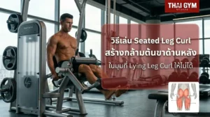 วิธีเล่น Seated Leg Curl สร้างกล้ามต้นขาด้านหลังในมุมที่ Lying Leg Curl ให้ไม่ได้