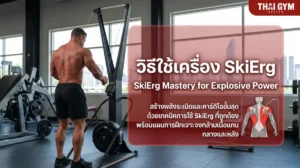 วิธีเล่น Ski Erg Machine สร้างความแข็งแรงของร่างกายส่วนบนทั้งหมดและระบบหัวใจและหลอดเลือดพร้อมกันในท่าที่เผาผลาญแคลอรีสูงสุด